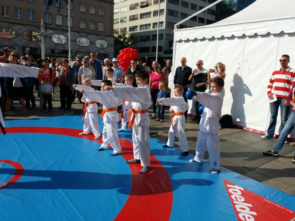 cuvari srca, bolesti srca, judo, sport kardiovaskularne bolesti