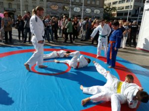 bolesti srca, kardiovaskularne bolesti, judo