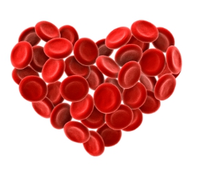5 iznenađujučih činjenica o krvožilnom sustavu